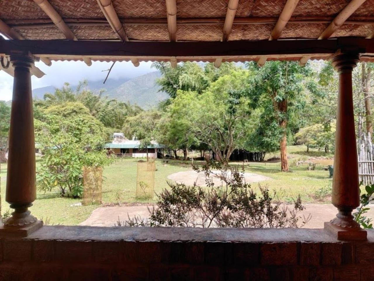 Hotel Jungle Hut Masinagudi Exterior foto